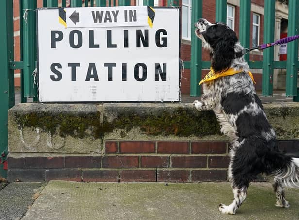<p>A dog at a polling station. Photo by Ian Forsyth/Getty Images</p>
