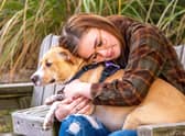 Don’t panic if your dog has a sseizure, but don’t go near your dog’s mouth - they may accidentally bite (photo: Adobe)