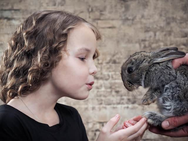 Showing a rabbit love (photo: Adobe)