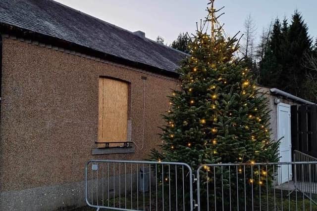 The tree's not so bad but its location has left the community feeling a bit flat.