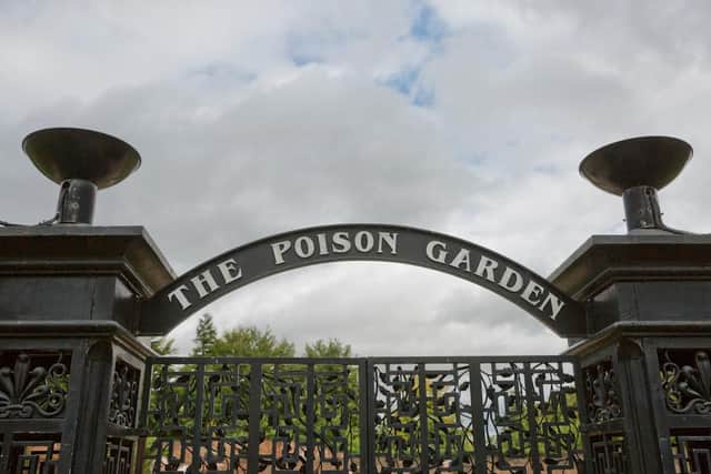 Alnwick Poison garden is, as you might expect, a garden which is packed with around 100 variations of poisonous and narcotic plants. The heavily-gated gardens are accessible only on guided tours, but there are safety measures in case you forget where you are.