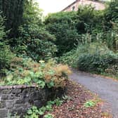 Concerns have been aired about the proposed houses on land between St Isidore's church and Lindsaylands Road in Biggar.