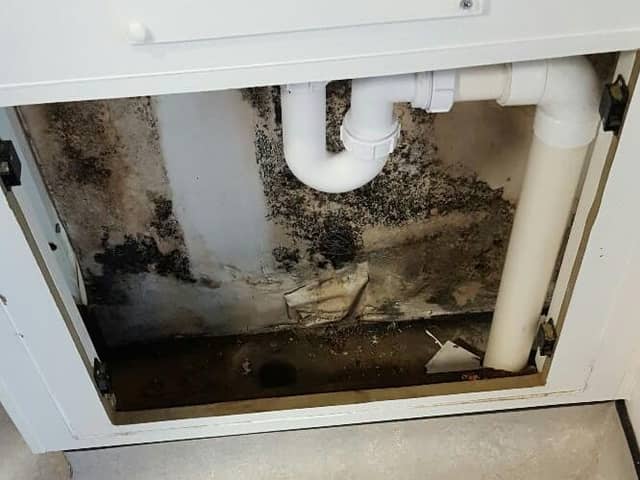 Pictures of mould growth at the Queen Elizabeth University Hospital in Glasgow.