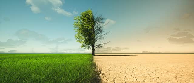 Climate change from drought to green growth. Photo: Adobe