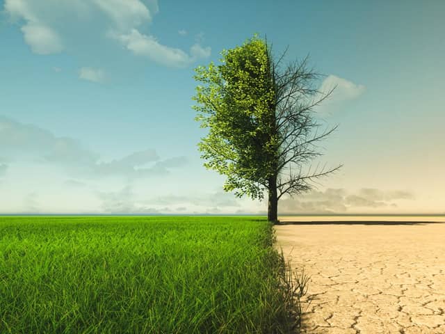 Climate change from drought to green growth. Photo: Adobe