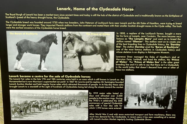 Information boards at the site explain the history of the Clydesdale and its local links.