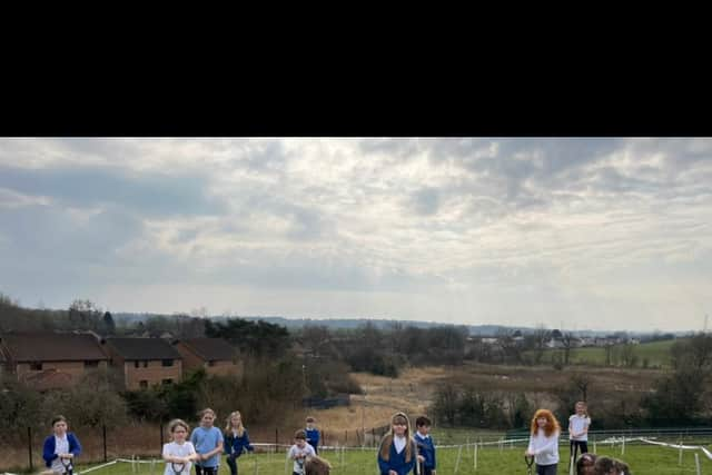 Tree planting at Torrance