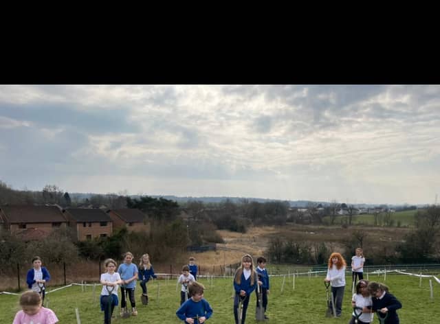 Tree planting at Torrance