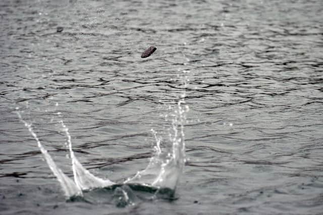 The perfect skim sees the stone jump across the water
Picture by Jane Barlow