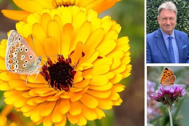 Butterfly Conservation has joined forces with TV gardener Alan Titchmarsh (inset, top) to encourage people across the country to create pit-stops for pollinators this spring.