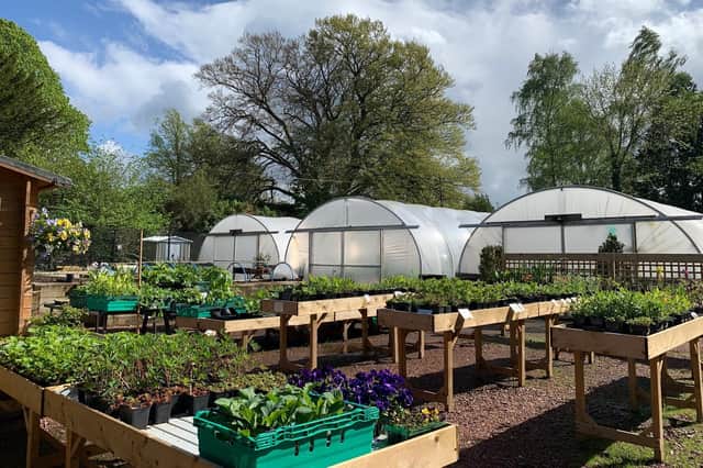 Visitors are being invited to pick up a bargain this weekend, with something for every gardener to enjoy - from strawberry plants to perennials.