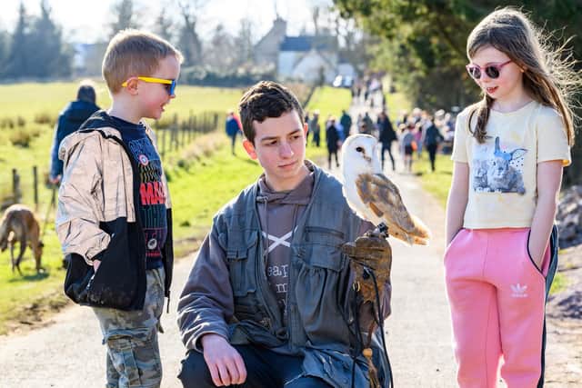 Sam and Jessica with Ellis, the 12-year-old barn owl from Avon Valley Falconry, at the official opening.