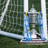 The Scottish Cup trophy. Picture: SNS