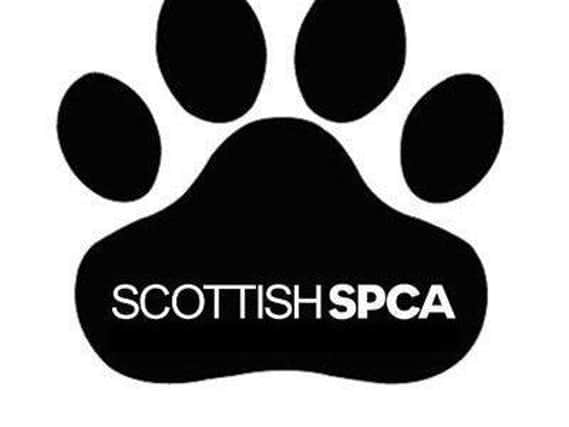 The Scottish SPCA