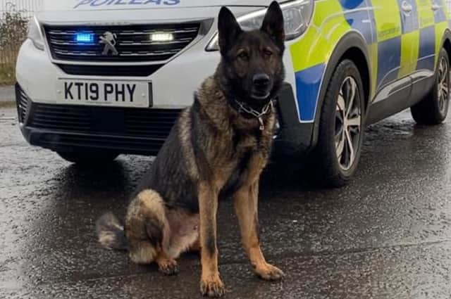 Scottish Police Dog Memorial founder Officer Carrie-Ann McNab's dog Bodie