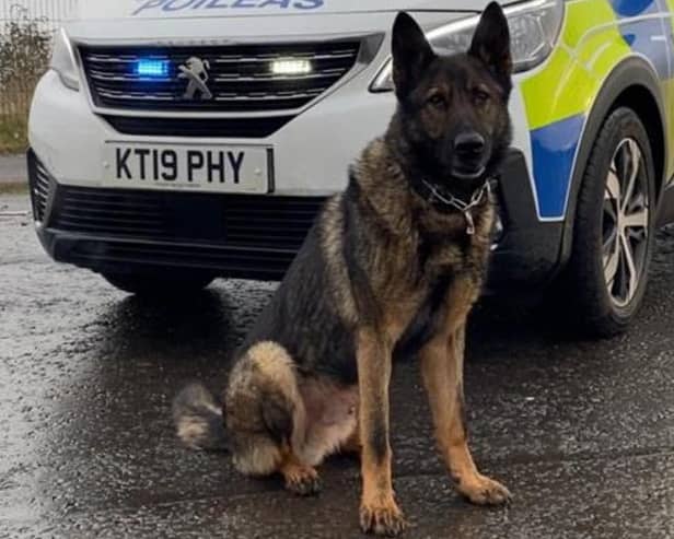 Scottish Police Dog Memorial founder  Officer Carrie-Ann McNab's dog Bodie