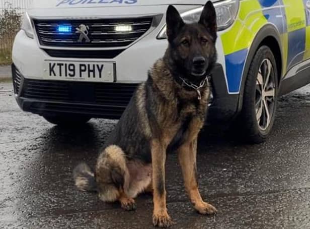 Scottish Police Dog Memorial founder  Officer Carrie-Ann McNab's dog Bodie