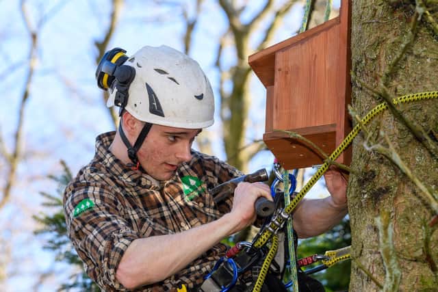 Matthew Cook installs one of the bird boxes.