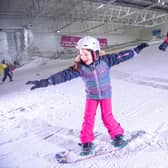 Snow Factor 