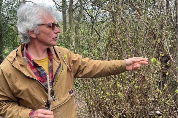 Ecologist and nature guide Ian Edwards will share his knowledge of wild food during a family friendly walk through the grounds on Sunday.
