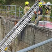 Firefighters from Lanark lower a ladder to help with the rescue. Scottish SPCA