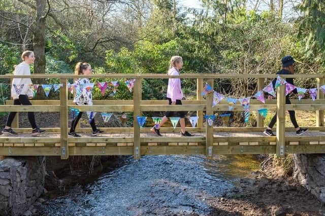 Forget Abbey Road, Loch Wood is where it's all happening! Blackwood Primary School pupils try out the new bridge.