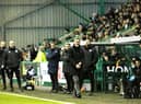 Graham Alexander roars some instructions during Saturday's draw at Easter Road (Pic by Ian McFadyen)