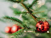 Experts at Gardening Express have identified the key elements to keep an eye out for when shopping for festive fir (photo: Pexels)