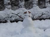 Someone's miniature snowman.
