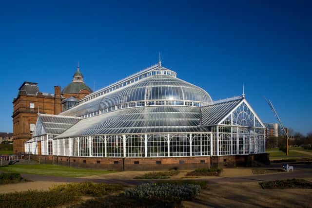 Glasgow's Winter Gardens are in line for an overhaul in the next few years. Picture: David Woods