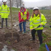 Helping to plant the trees are: (l-r) (LtoR) Susan Ferguson (Friends of Bellahouston Park), Paul Milligan (Caledonia Water Alliance), Sheila Yuill (Friends of Bellahouston Park) and Jane McKenzie (Scottish Water)