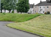 Grass in uddingston