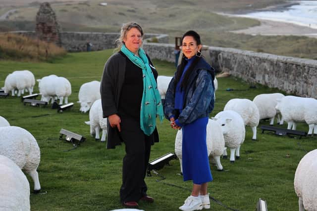 Queen's Hall Artistic Director + Artist Deepa Mann-Kler at Bamburgh Castle (photo: Raoul Dixon)