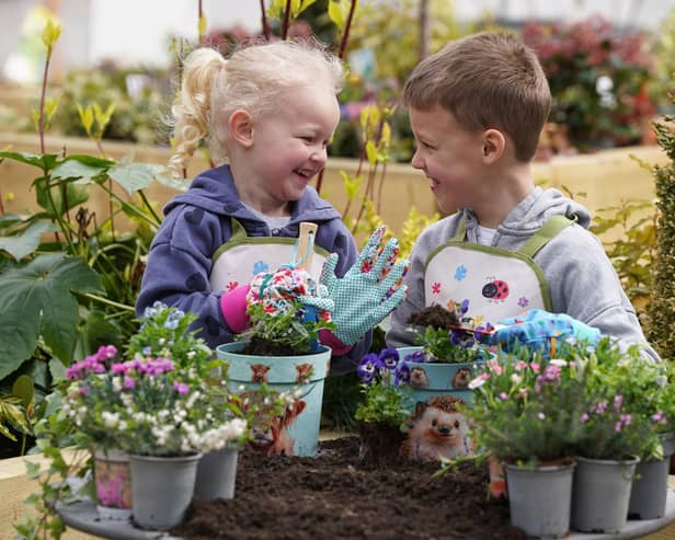 Sister and brother duo, Alice (4) and Archie (6,) at Dobbies Garden Centres, taking part in the experience