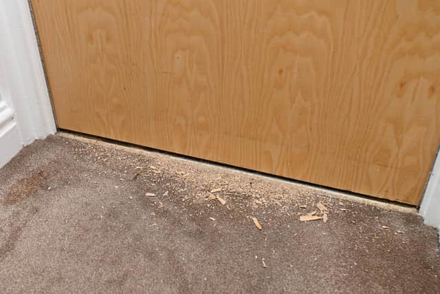 Damage caused by pets might not be covered by some insurance policies