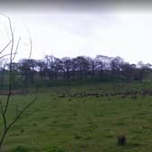 The site pictured from Old Duntiblae Rd