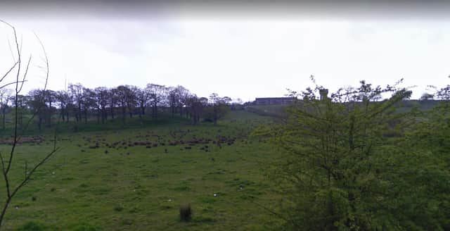 The site pictured from Old Duntiblae Rd