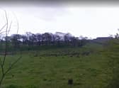 The site pictured from Old Duntiblae Rd