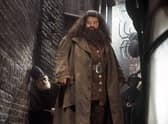 A Warner Bros still image of Robbie Coltrane as Rubeus Hagrid