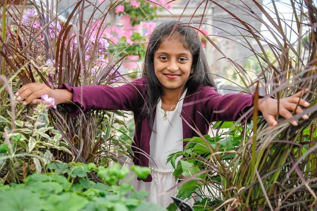 Little Seedlings will be able to explore their senses this Sunday.