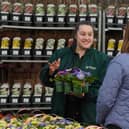 Dobbies’ Grow How session in March will cover propagation