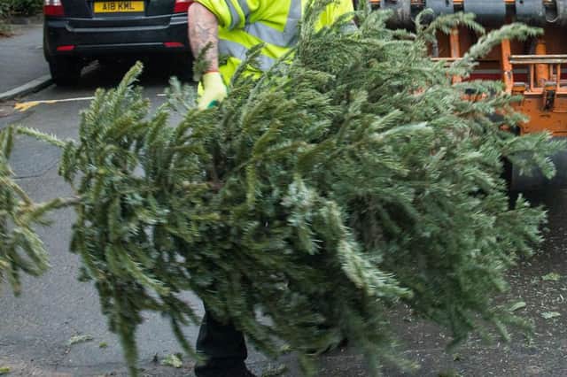 Those without a permit can pay to have their Christmas tree collected