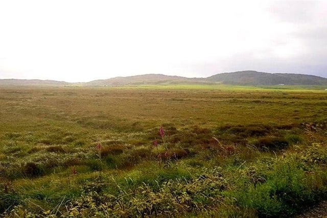 Some of the peatland.