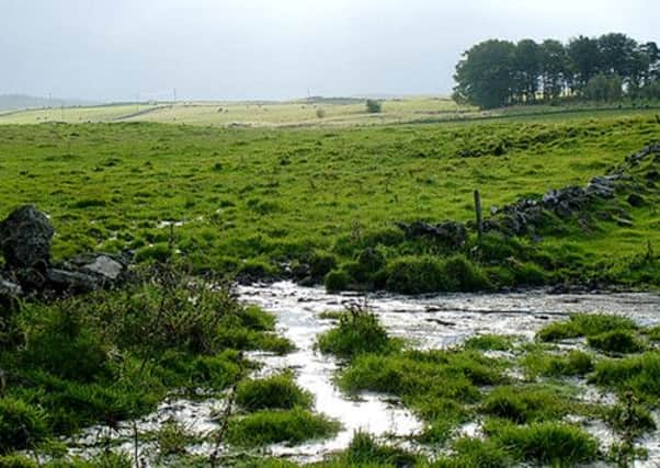 flooded field