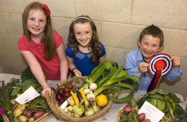 Chryston Flower Show
Interschool Competition winners, from Glennmanor PS - Susannah Osborne,  Samantha kerr and Campbell Osborne 
25th August 2012
Pic: Roberto Cavieres
Photograph. Roberto Cavieres