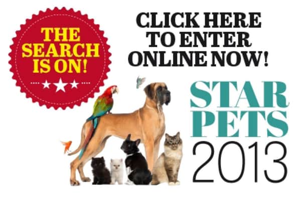 Star Pets is free to enter!