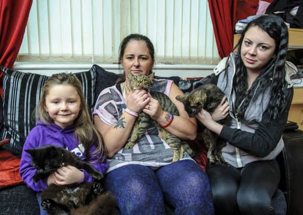 Sharon Hall  with  daughters Kenzie aged 6 (L) and Emma aged 15 (R) and three of their four remaining cats  -  Picture by Andrew Wilson
