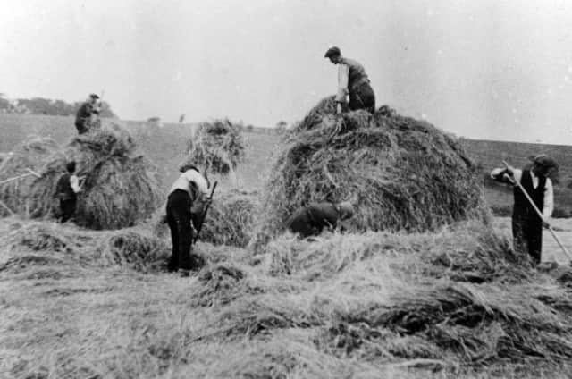 Making hay in Robroyston Farm in 1920