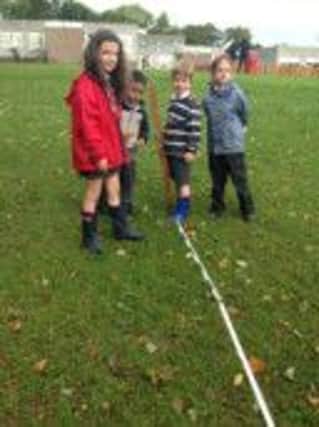Pupils busy marking out the trees.