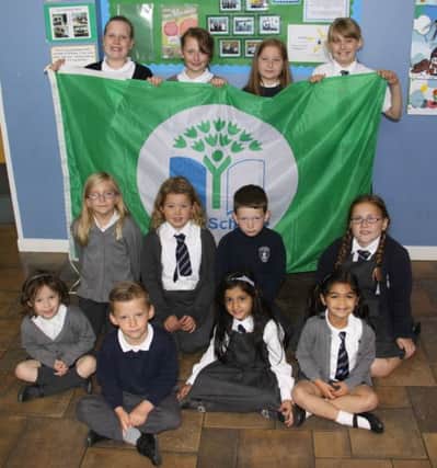 Mearns pupils with their flag.
